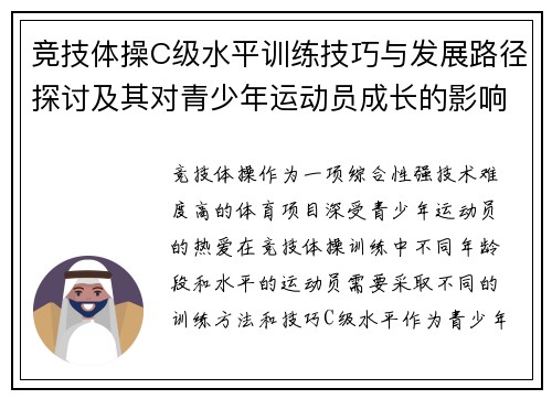 竞技体操C级水平训练技巧与发展路径探讨及其对青少年运动员成长的影响